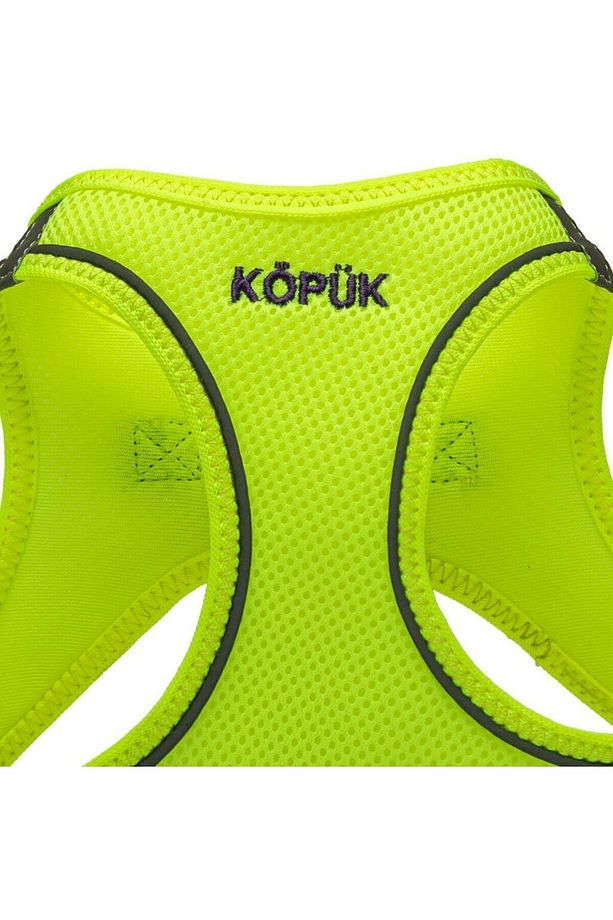 Köpek Tasma Seti Kişiye Özel Airmesh Göğüs Tasması İsimli Göğüs Tasması ve Köpek Gezdirme Halatı - 8