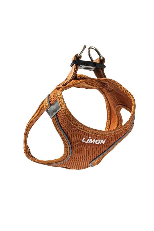 Kişiye Özel İsimli Airmesh Göğüs Tasması ve İsimli Köpek Boyun Tasması (2'li Set) - 5