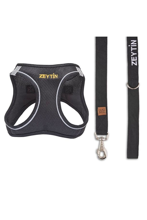 Kişiye Özel 2'li Köpek Tasma Seti İsimli Airmesh Köpek Göğüs Tasması + İsimli Gezdirme Kayışı - 1