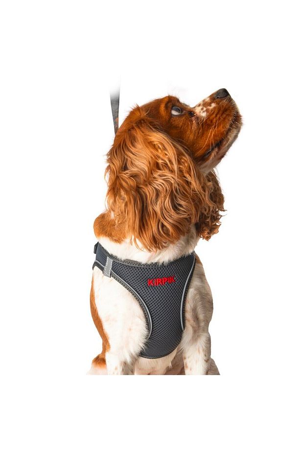 Köpek Tasma Seti Kişiye Özel Airmesh Göğüs Tasması İsimli Göğüs Tasması ve Köpek Gezdirme Halatı - 4