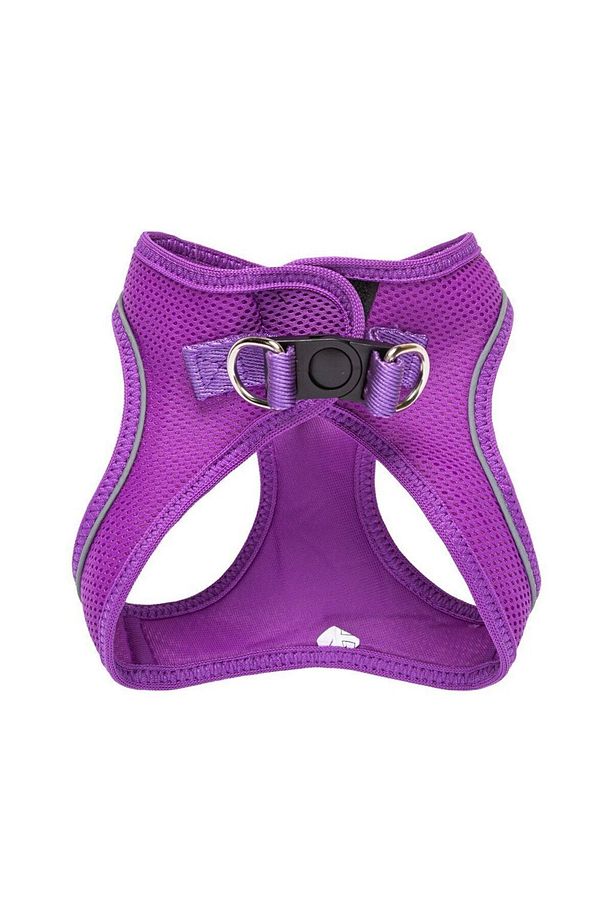 Kişiye Özel 2'li Köpek Tasma Seti İsimli Airmesh Köpek Göğüs Tasması + İsimli Gezdirme Kayışı - 8