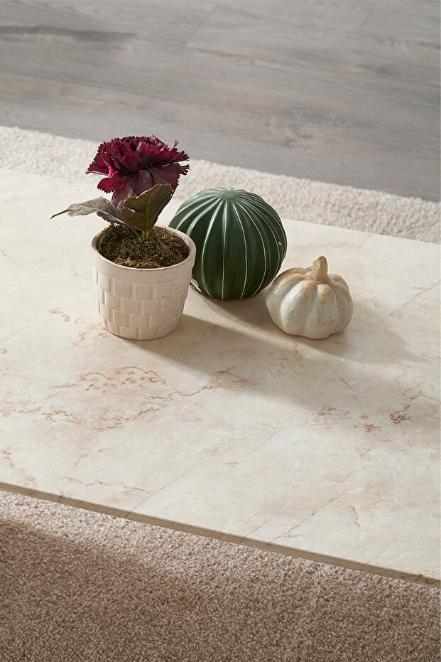 Livia Orta Sehpa - 4