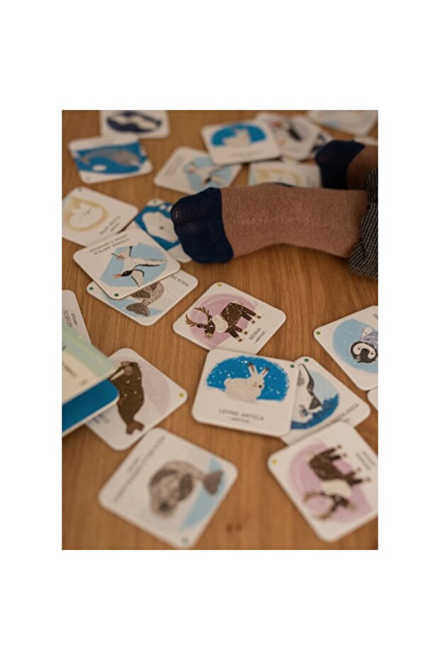 الحيوانات لإنقاذ الجليد القطبي - 6