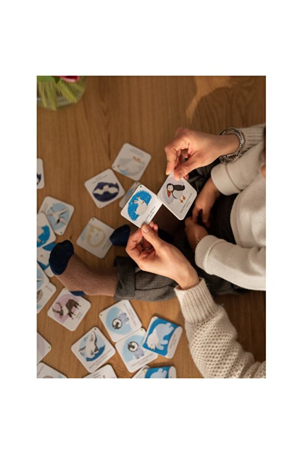 الحيوانات لإنقاذ الجليد القطبي - 2