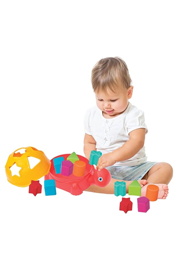 Kamlumbağa Bultak - 3