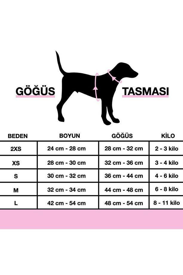 Kişiye Özel İsimli Airmesh Göğüs Tasması ve İsimli Köpek Boyun Tasması (2'li Set) - 4