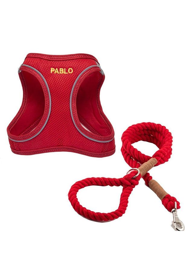 Köpek Tasma Seti Kişiye Özel Airmesh Göğüs Tasması İsimli Göğüs Tasması ve Köpek Gezdirme Halatı - 1