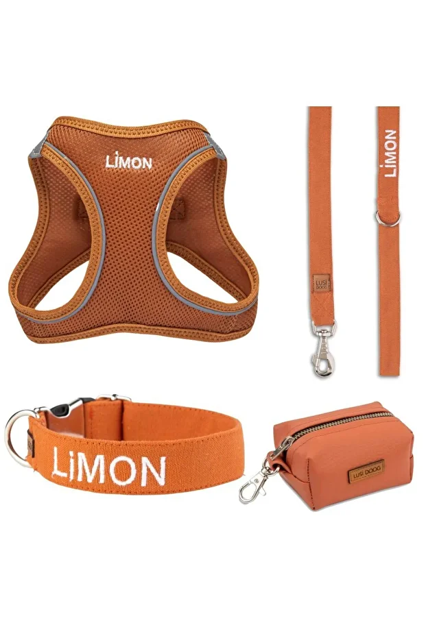 İsimli Airmesh 4'lü Tasma Seti Köpek Göğüs Tasması + Boyun Tasması + Gezdirme Kayışı + Çanta - 1