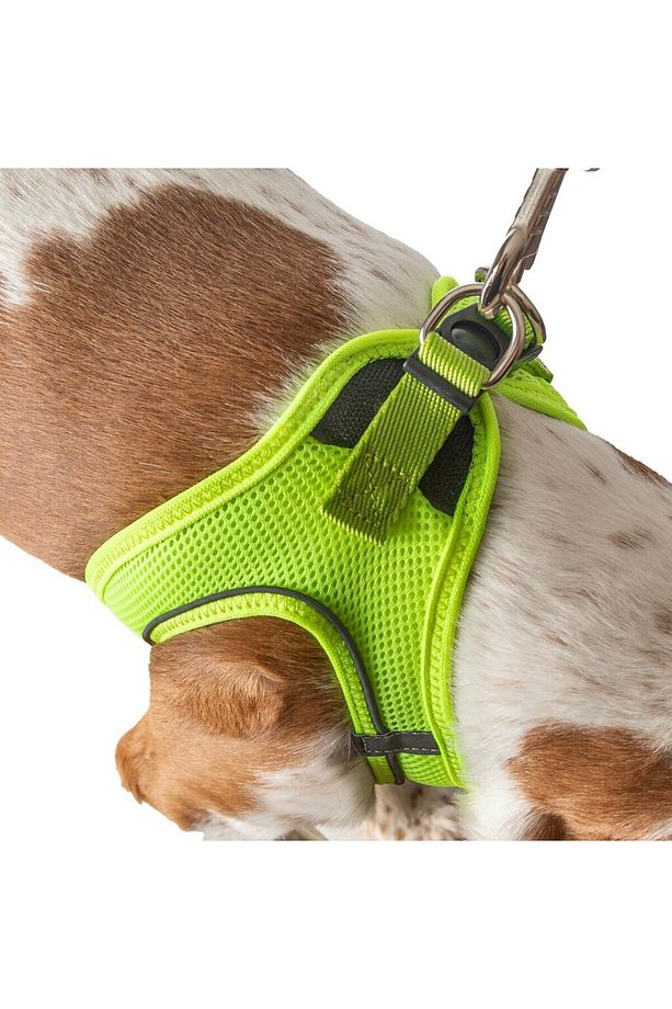 Köpek Tasma Seti Kişiye Özel Airmesh Göğüs Tasması İsimli Göğüs Tasması ve Köpek Gezdirme Halatı - 6
