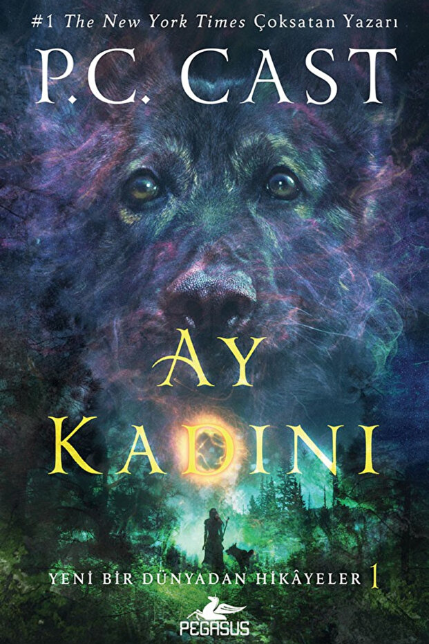 Ay Kadını - Yeni Bir Dünyadan Hikayeler 1 & P. C. Cast - 1