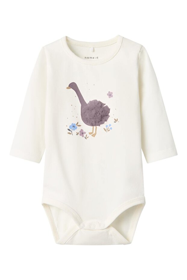 صندوق الجسم NBFDINE LS - 1