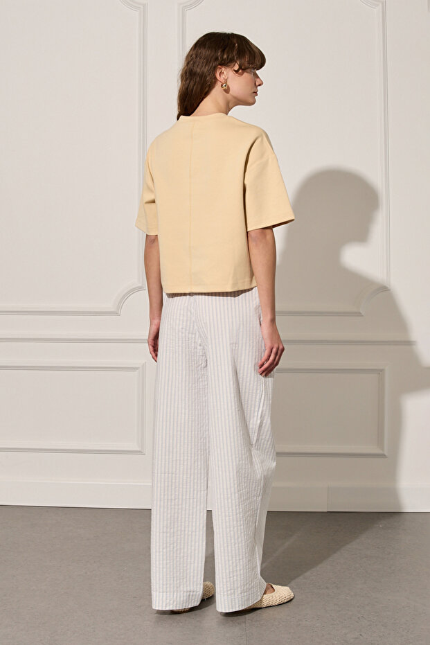 Çizgili Poplin Pantolon - 4