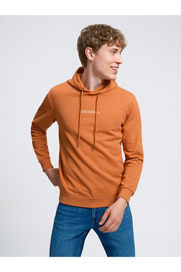 Regular Fit Erkek Sweatshirt - 2