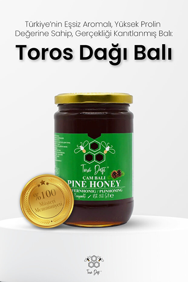 Çam Balı 860 gr - 3