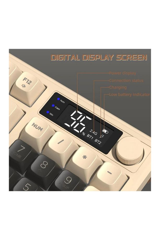 Freewolf M96 2.4g Bt5.0 Çift Bağlantılı Tft Led Ekranlı Reinbow Gaming Oyuncu Klavye - 3