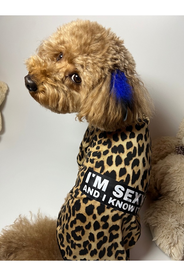 Leoparlı tişört - 2