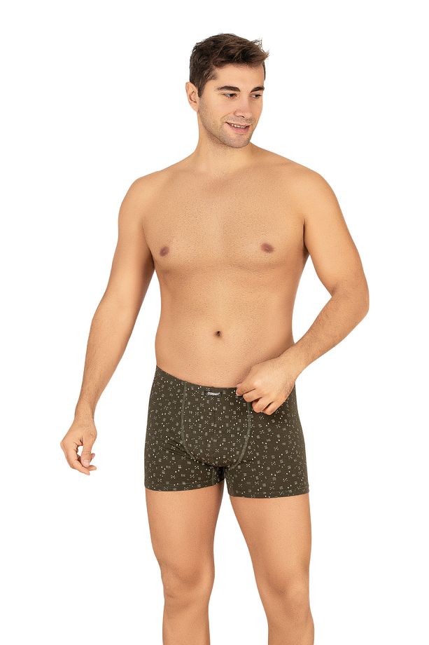 Özkan 11113 5'li Paket Erkek Pamuklu Modal Esnek Yumuşak Desenli Boxer Şort Külot - 4