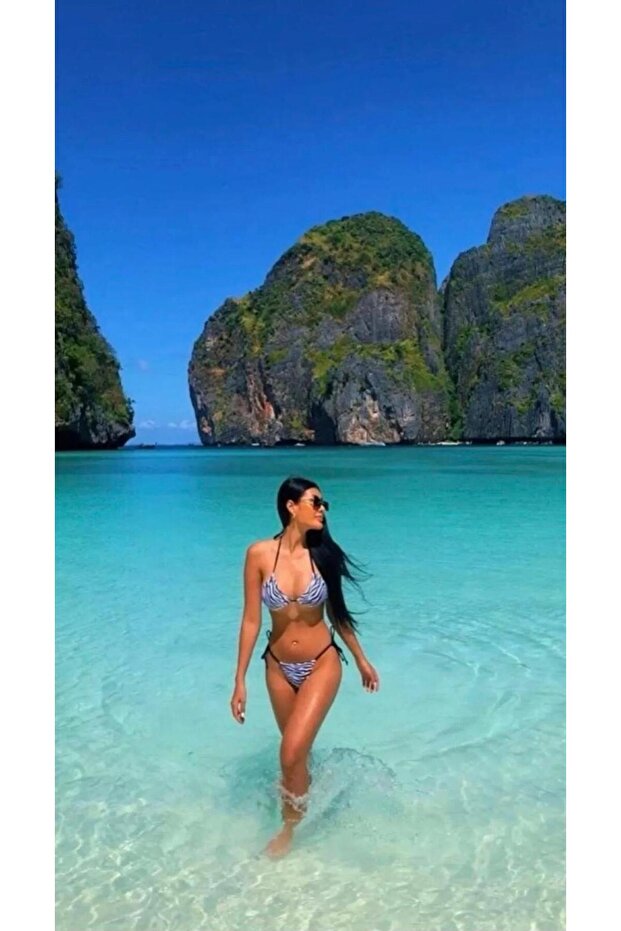 Zebra Desen Bikini Takımı - 4