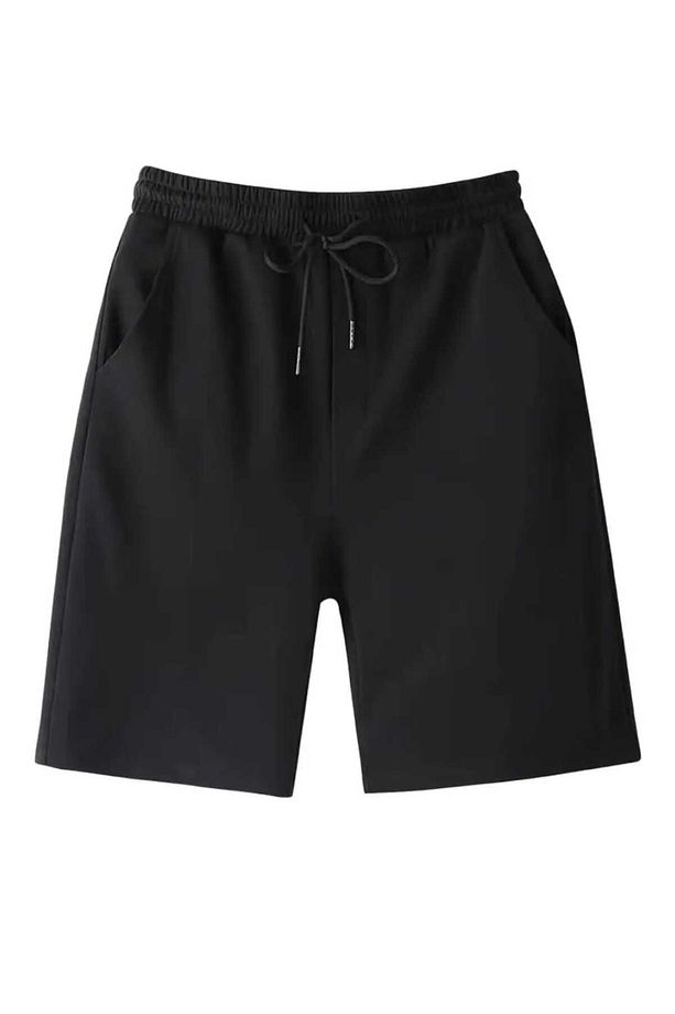 Erkek Regular Fit Orta Bel Siyah Şort - 2