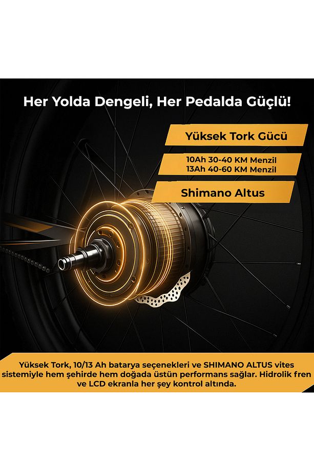 R-200 PRO Elektrikli Katlanabilir Bisiklet 10AH Shimano Altus Hidrolik Fren Şehir Bisikleti - 3