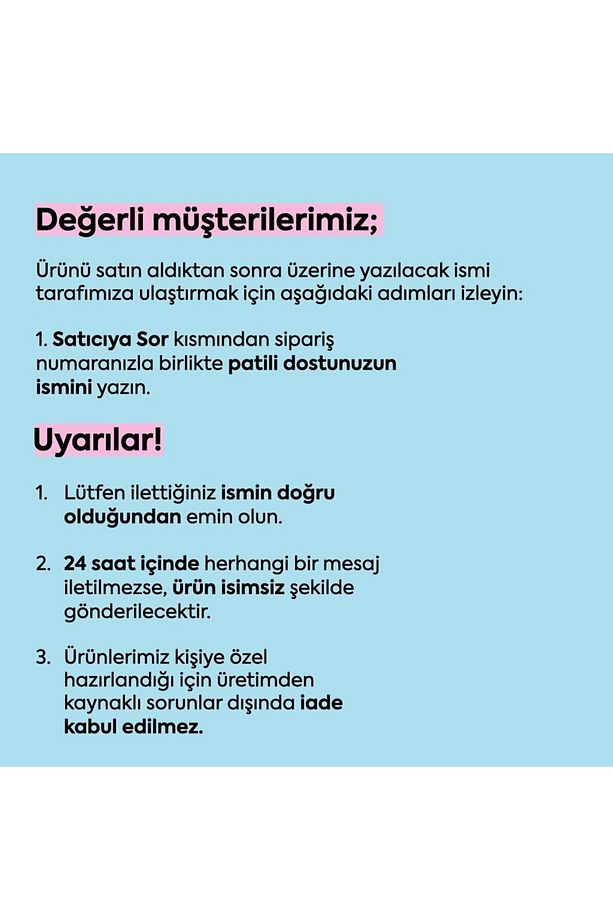 Kişiye Özel İsimli Airmesh Göğüs Tasması ve İsimli Köpek Boyun Tasması (2'li Set) - 2