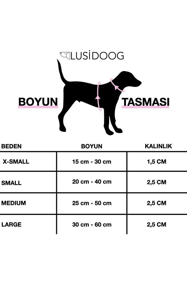 İsimli Airmesh 4'lü Tasma Seti Köpek Göğüs Tasması + Boyun Tasması + Gezdirme Kayışı + Çanta - 6