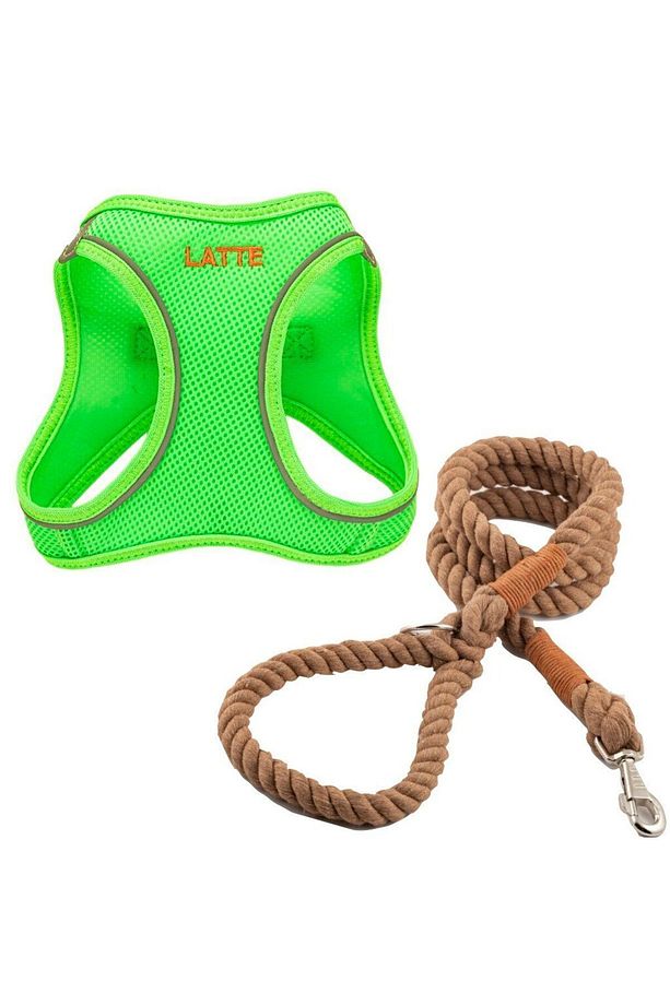 Köpek Tasma Seti Kişiye Özel Airmesh Göğüs Tasması İsimli Göğüs Tasması ve Köpek Gezdirme Halatı - 1