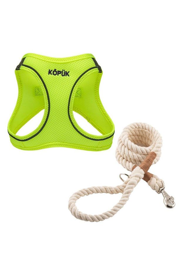 Köpek Tasma Seti Kişiye Özel Airmesh Göğüs Tasması İsimli Göğüs Tasması ve Köpek Gezdirme Halatı - 1