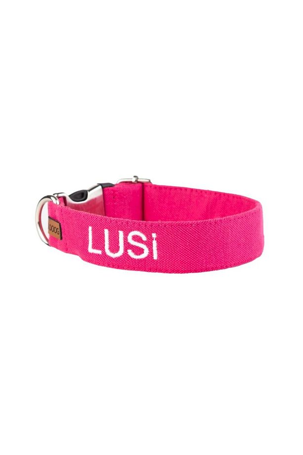 İsimli Airmesh 4'lü Tasma Seti Köpek Göğüs Tasması + Boyun Tasması + Gezdirme Kayışı + Çanta - 5