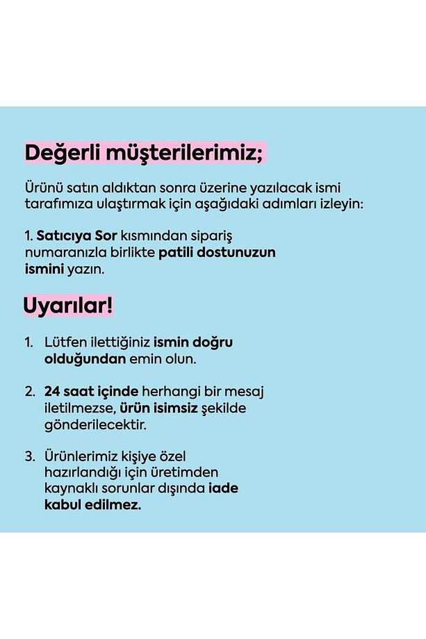 Köpek Tasma Seti Kişiye Özel Airmesh Göğüs Tasması İsimli Göğüs Tasması ve Köpek Gezdirme Halatı - 2