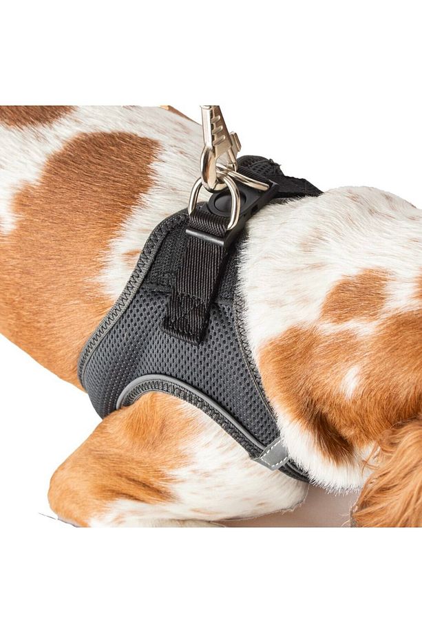 Köpek Tasma Seti Kişiye Özel Airmesh Göğüs Tasması İsimli Göğüs Tasması ve Köpek Gezdirme Halatı - 8