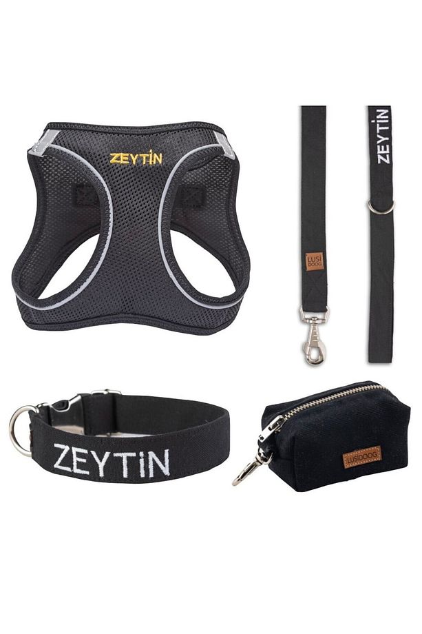 İsimli Airmesh 4'lü Tasma Seti Köpek Göğüs Tasması + Boyun Tasması + Gezdirme Kayışı + Çanta - 1