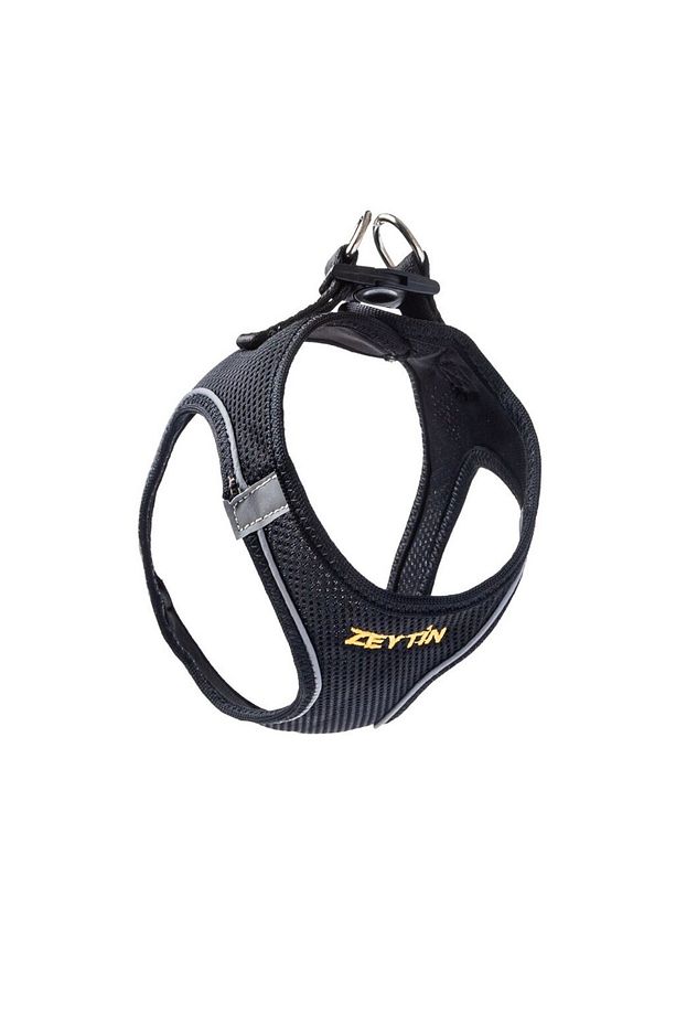 İsimli Airmesh 4'lü Tasma Seti Köpek Göğüs Tasması + Boyun Tasması + Gezdirme Kayışı + Çanta - 3