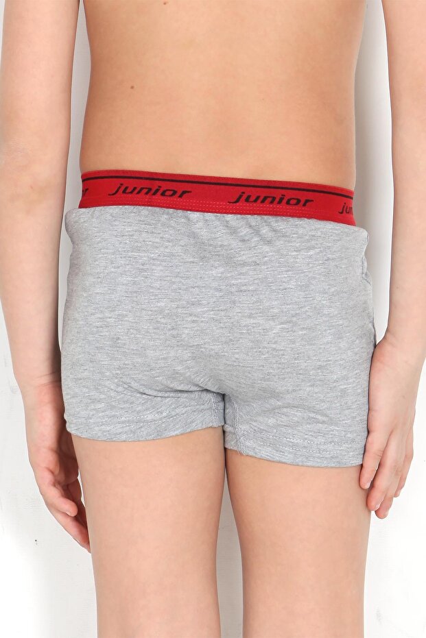 الملاكمين الصبي - 3