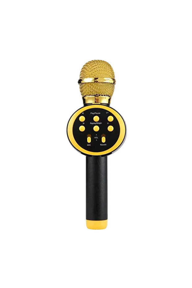 Wireless Microphone For Karaoke, Built-in Bluetooth Speaker, Voice Changing Effects - 1
