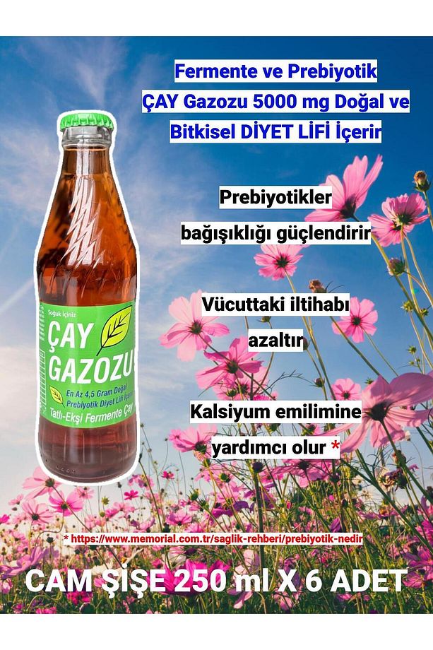 ÇAY GAZOZU - Cam Şişe 250ml x 6 adet - 2