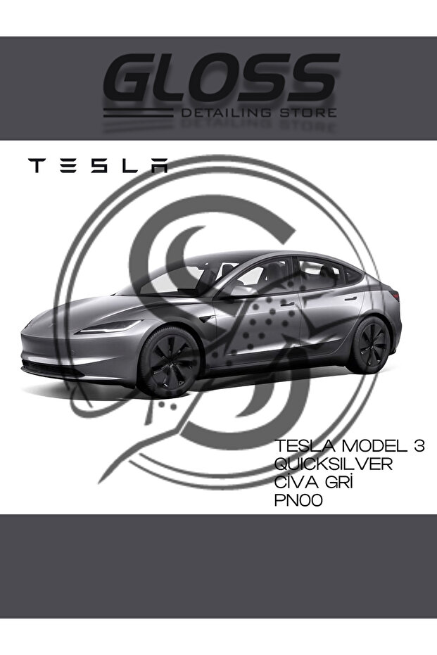 Tesla Model 3 Quicksilver (CİVA GRİSİ) Pn00 - Profesyonel Rötuş Boyası 30ml. - 1