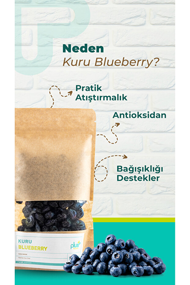 Kuru Blueberry 200 gr - 2