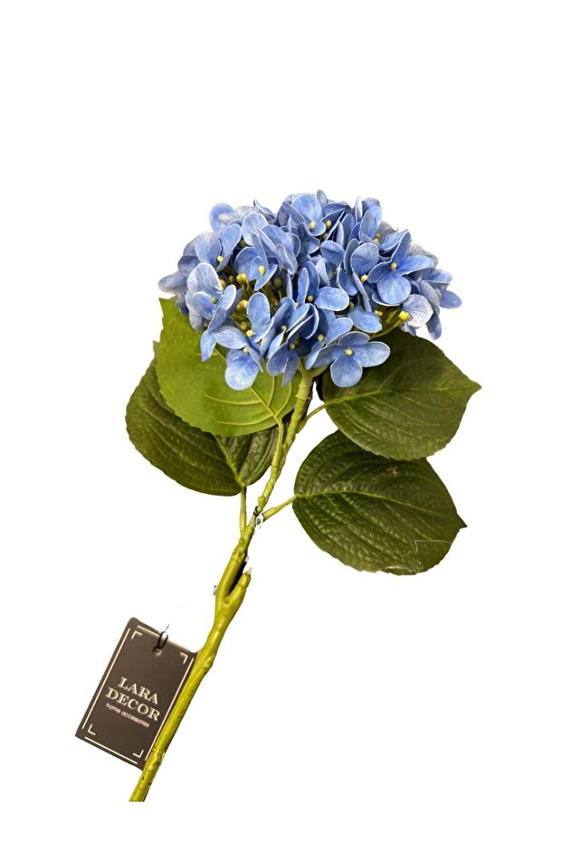 Mavi İthal Ortanca - 3