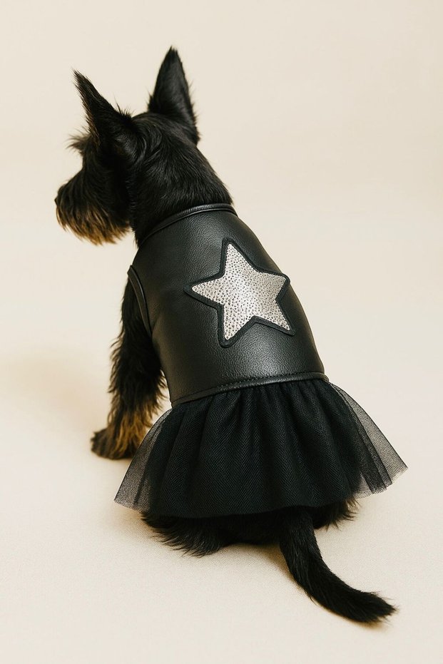 Small Breed Leather Rock Star Cat Dress Dog Dress Dog Outfit (1-10 kg)