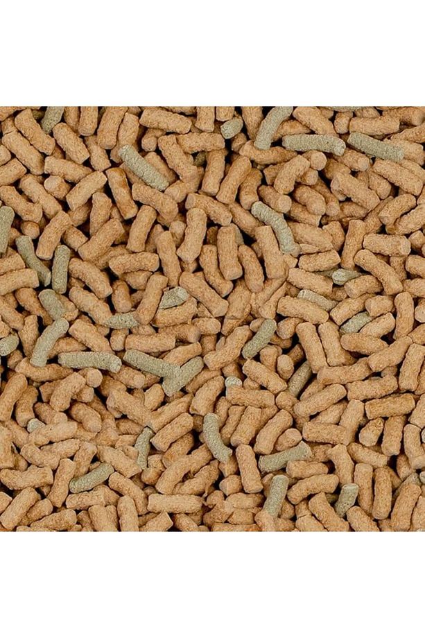 Raffy P Kaplumbağa Yemi 1000 ml 250 gr - 2