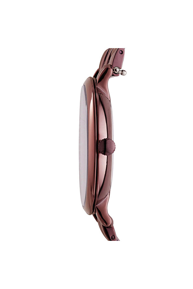 Fes4100 Kadın Kol Saati - 2