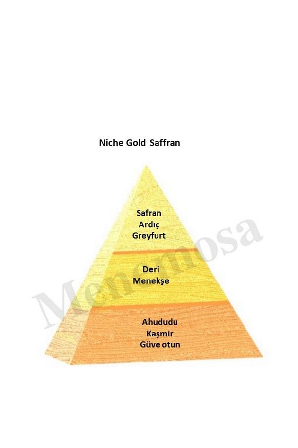 Niche Gold Saffran Unisex Extrait De Perfume 100 ml - Mnms100saffran - 3