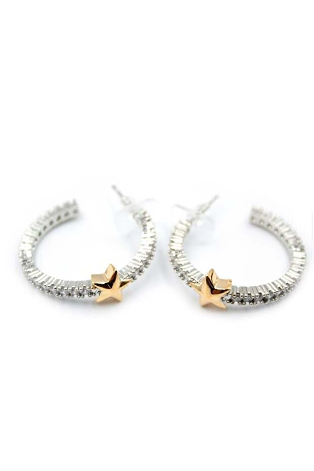 حلق على شكل نجمة - فضي - 2