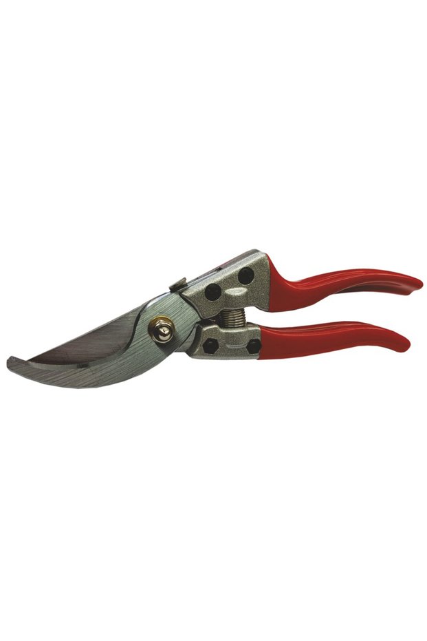 Vine shears, orange, 210 mm