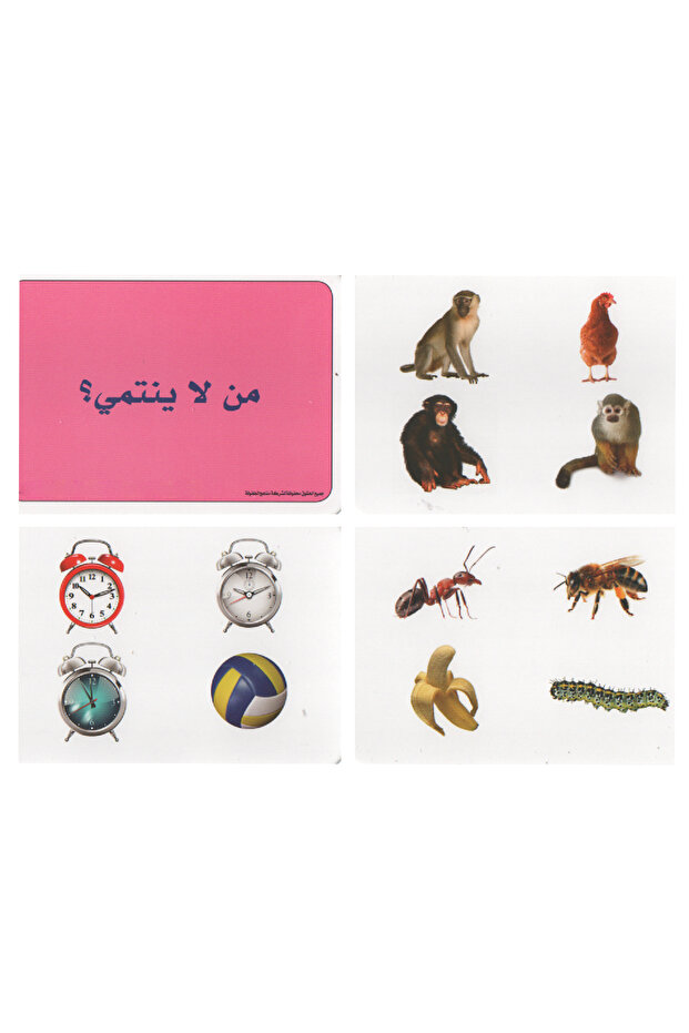 المجموعات الضمنية- من لا ينتمي - 4