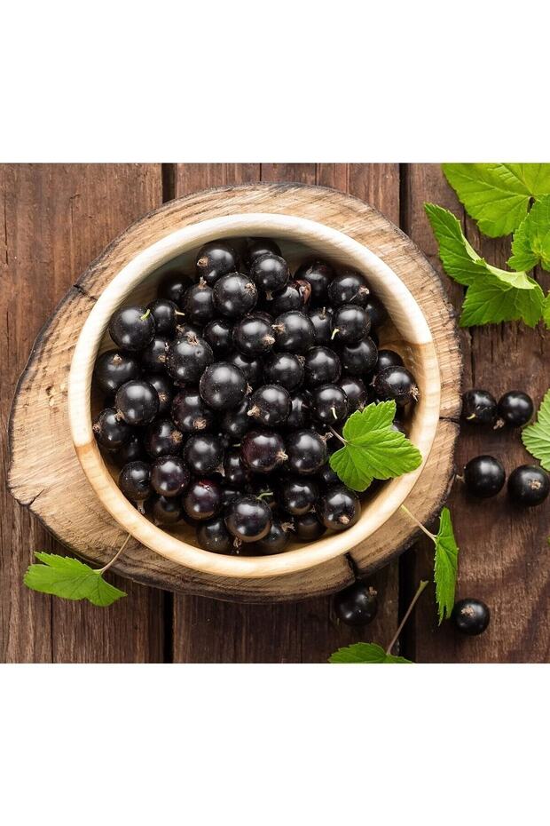 Cranberry Blackcurrant 1 Lt - 2