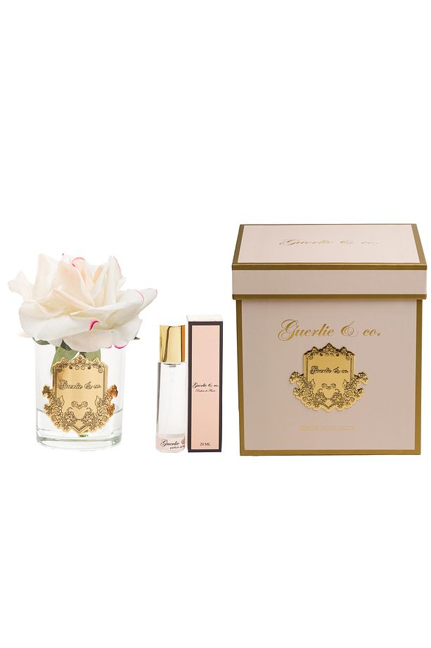 Krem Pembe Tek Gül Gold - 1