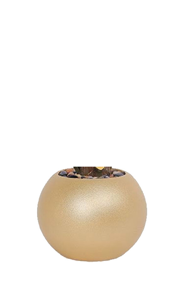 شجر أريكا (7 فروع) بمركن بلاستيك دائرى - 3