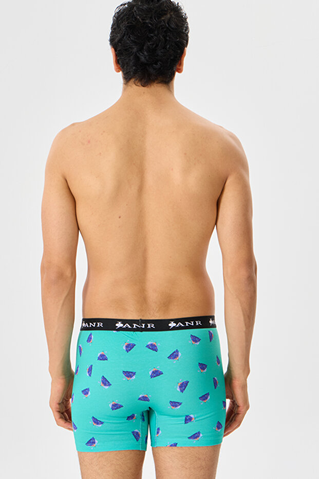 Passionate Explorations Erkek Boxer - 7